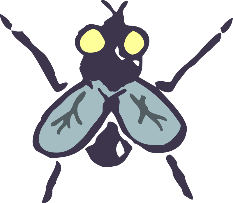 Insect 14 Free Vector 