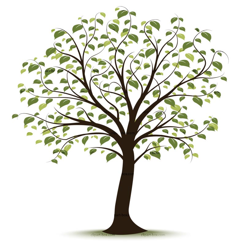 Family Tree Genealoy And Backgrounds Clipart Family History + 